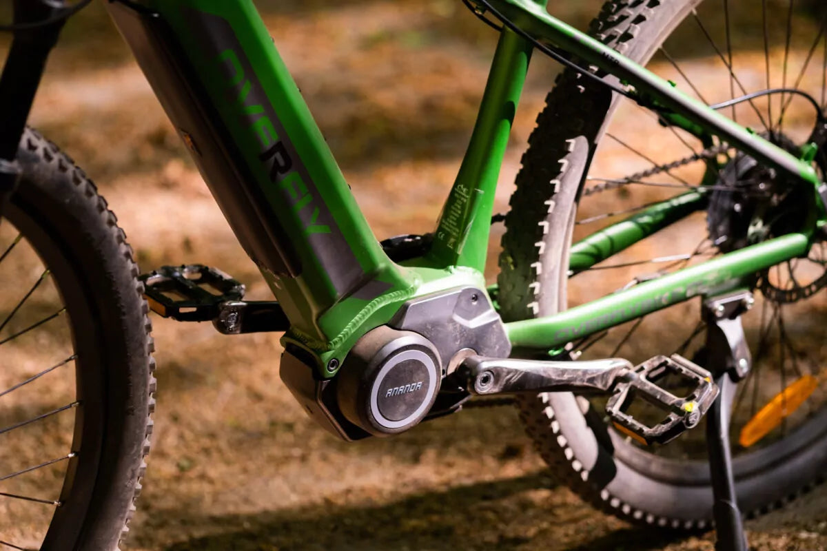 Rower MTB BOLT MTB