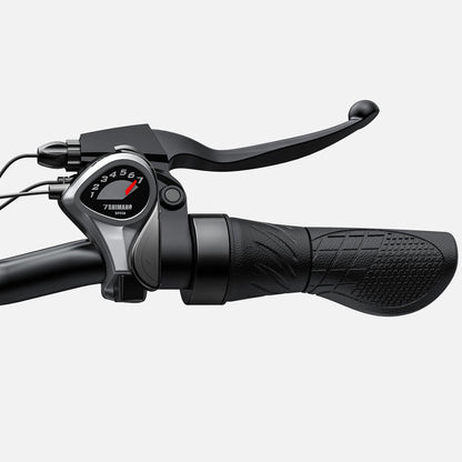 Rower Elektryczny Engwe E26