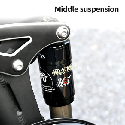 Rower elektryczny ENGWE Engine X