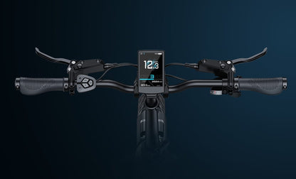 Rower elektryczny Engwe L20 3.0 PRO