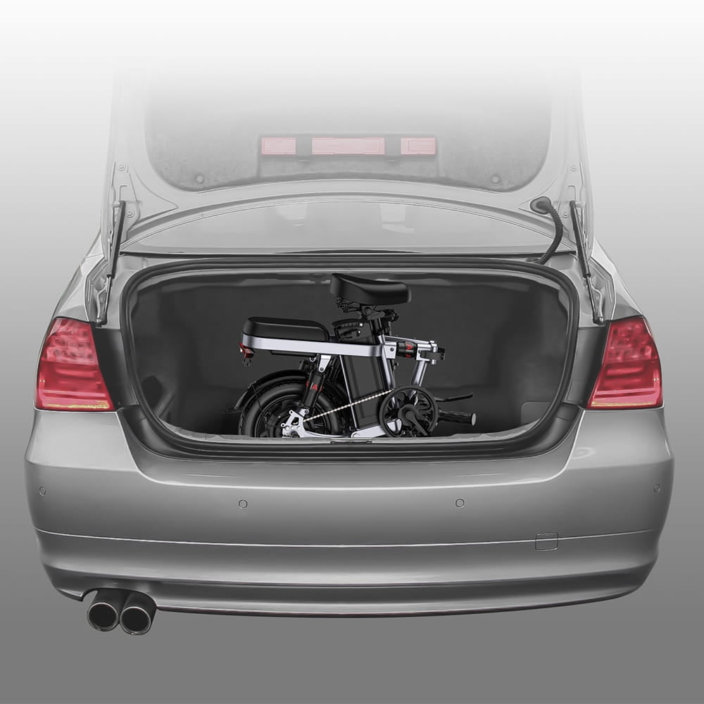 Rower elektryczny ENGWE T14