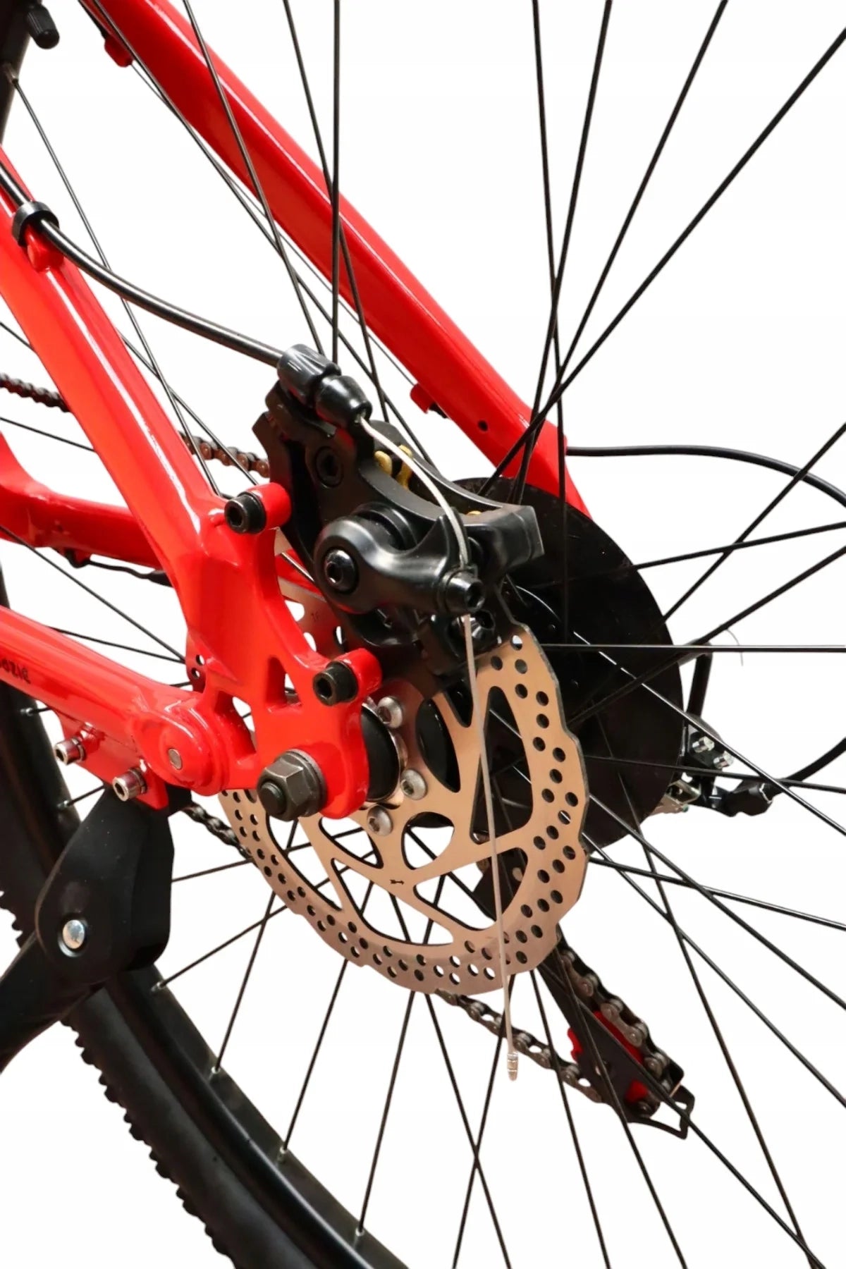 Rower Elektryczny Damski Męski ZAWSZE MLODZIE 250W 10.4Ah Koła 29" Zielony