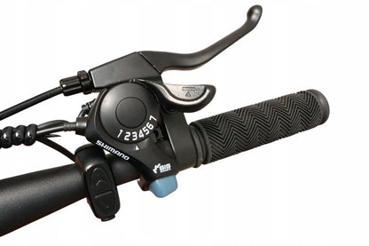 Rower Elektryczny Damski Męski ZAWSZE MLODZIE 250W 10.4Ah Koła 29" Zielony