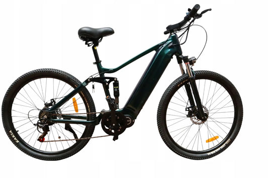 Rower Elektryczny Damski Męski ZAWSZE MLODZIE 250W 10.4Ah Koła 29" Zielony