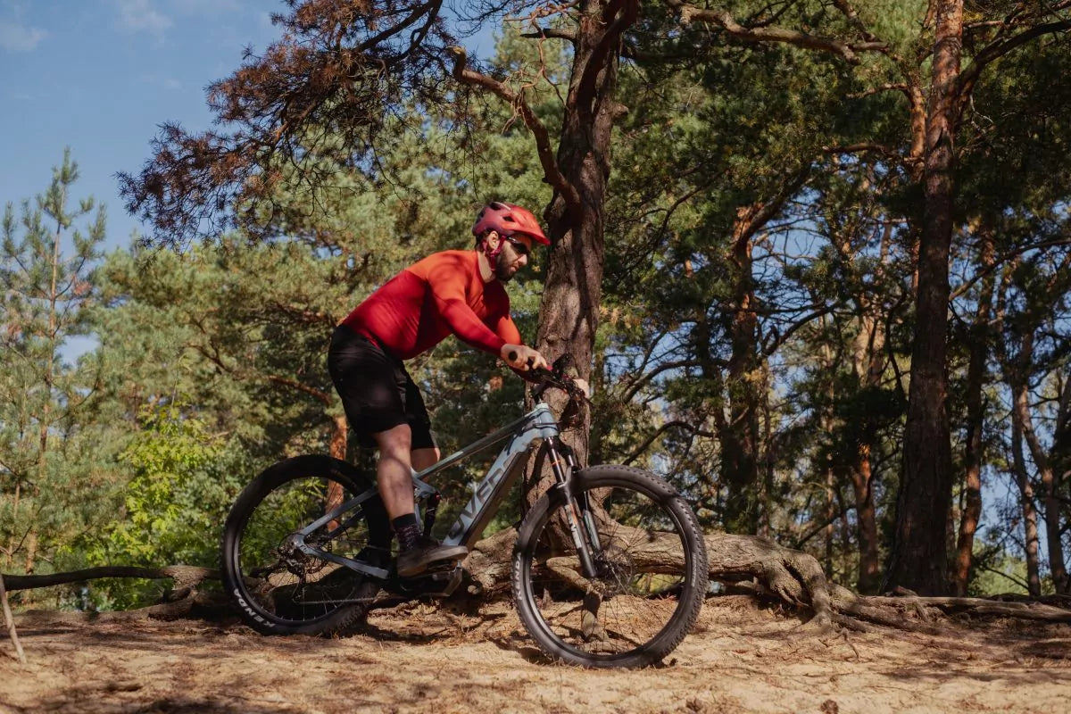 Rower MTB Aglaia