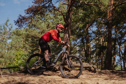 Rower MTB Aglaia