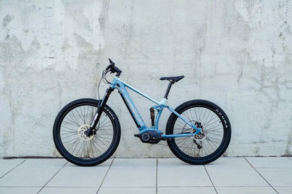Rower MTB Aglaia