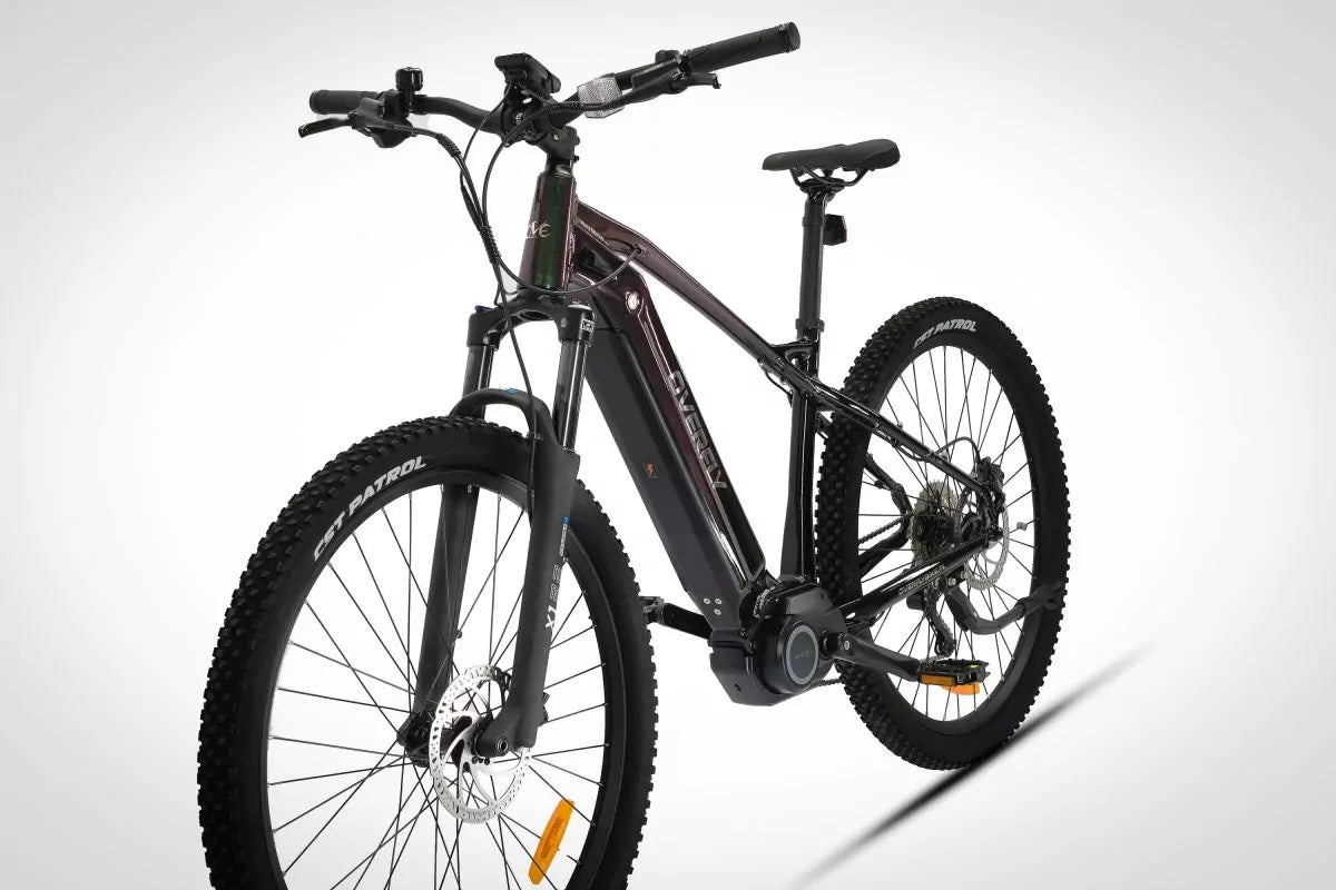 Rower MTB BOLT MTB