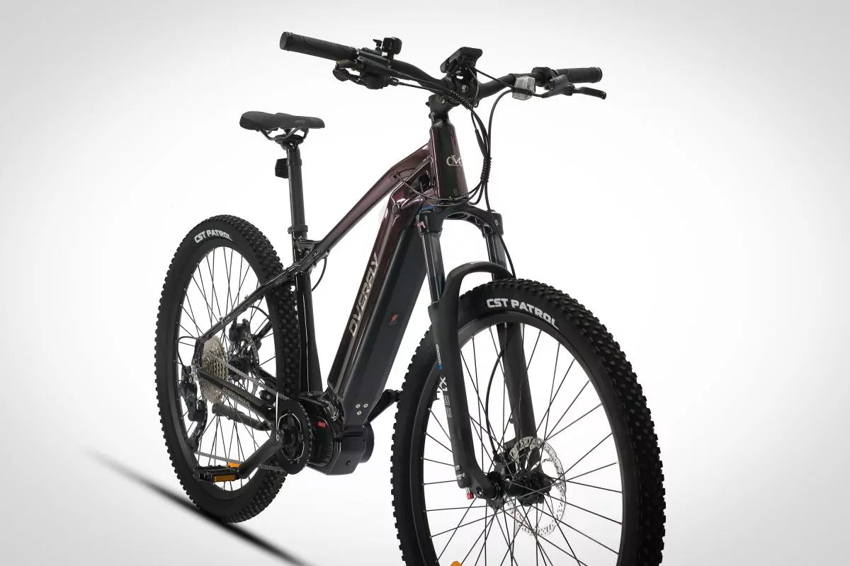 Rower MTB BOLT MTB