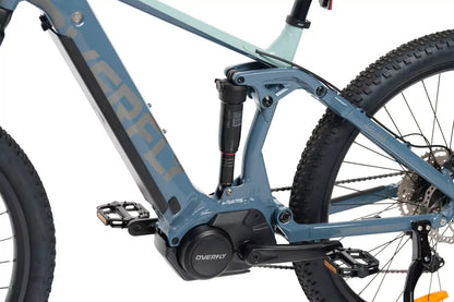 Rower MTB Aglaia