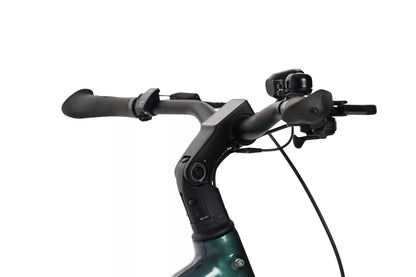 Rower trekingowy Artemis 19″